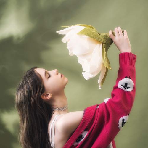 Photo #8711581