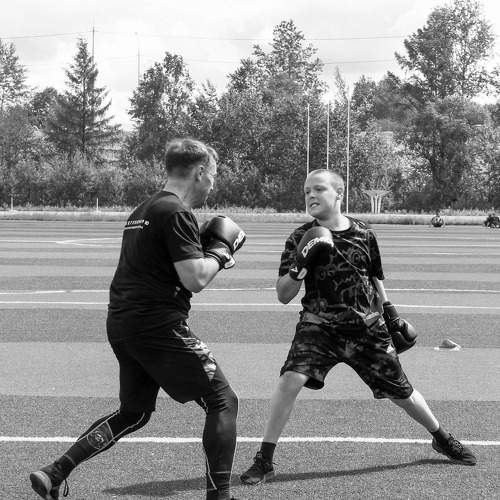 Photo #8711691