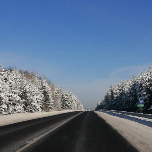 Photo #8711960