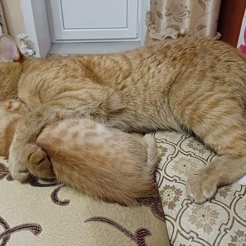 Photo #8712569