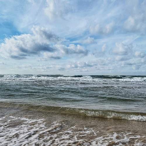 Photo #8712619
