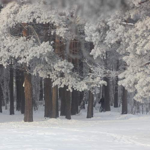 Photo #8712924