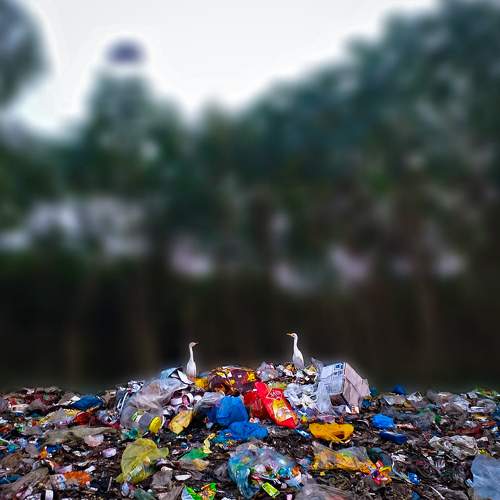 Save the Planet from toxic waste