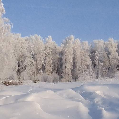 Photo #8713184