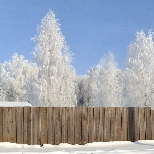 Photo #8713185