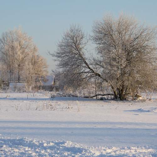 Photo #8713245