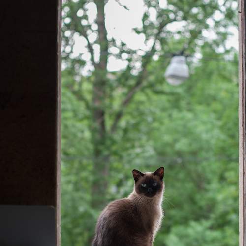 Photo #8713281