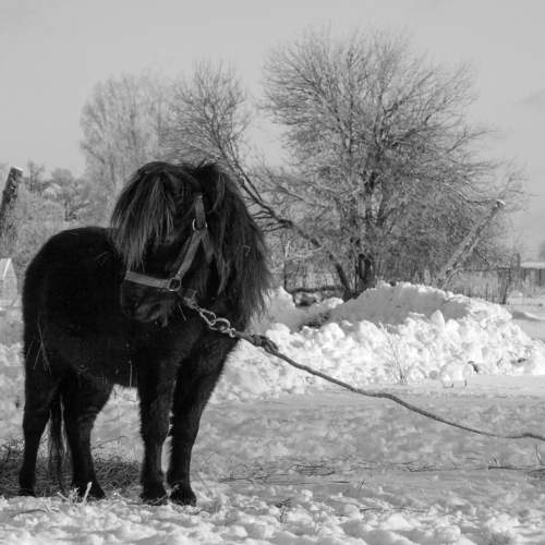 Photo #8713335