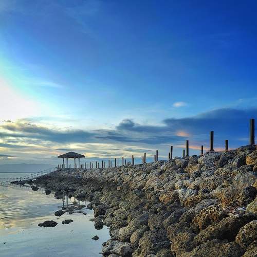 Photo #8713415