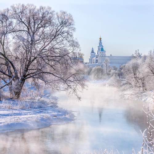Photo #8713472