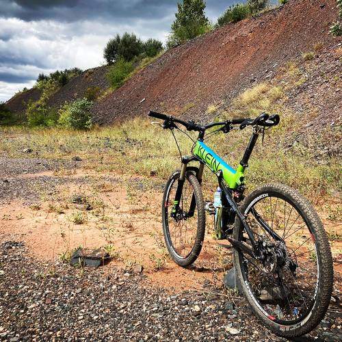 Photo #8713624