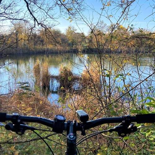 Photo #8713690