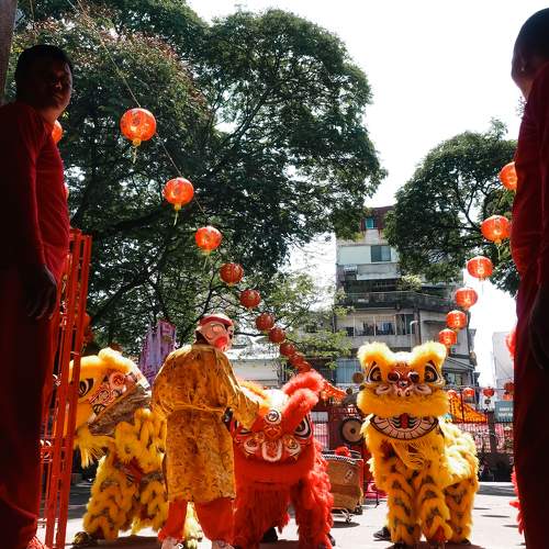Photo #8713747