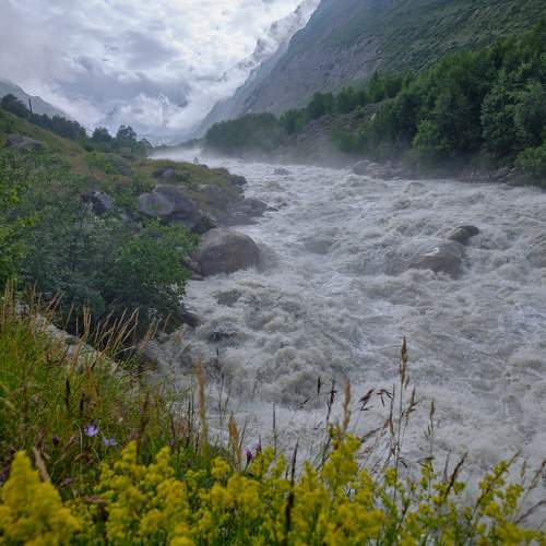 Photo #8713874
