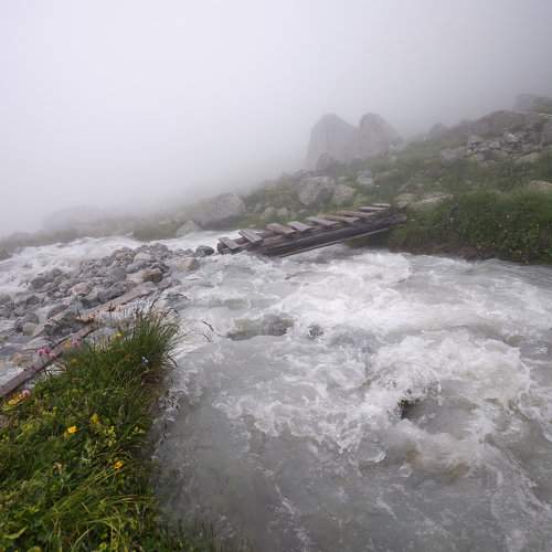 Photo #8713883