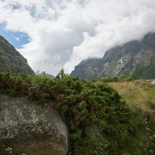 Photo #8713889