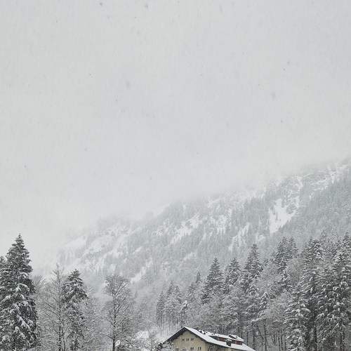 Photo #8713926