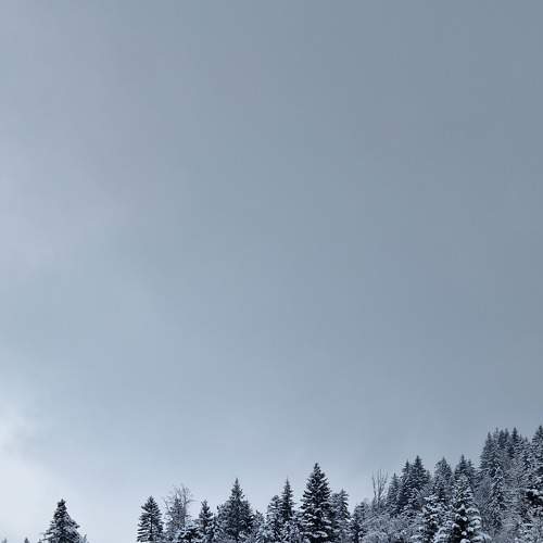 Photo #8713946