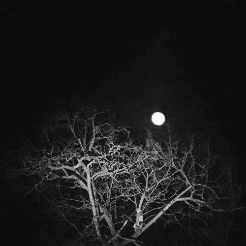 Photo #8714024
