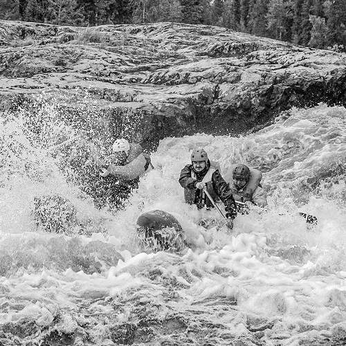 Photo #8714083