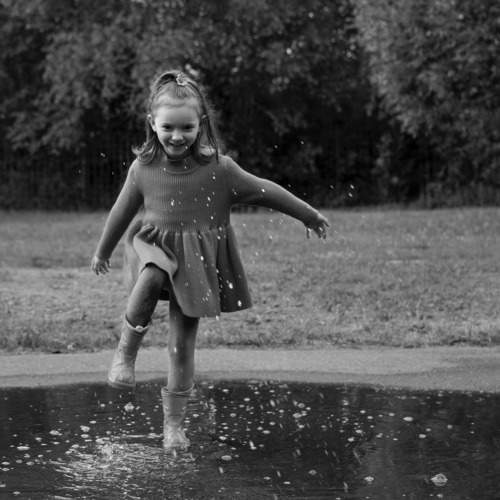 Photo #8714266