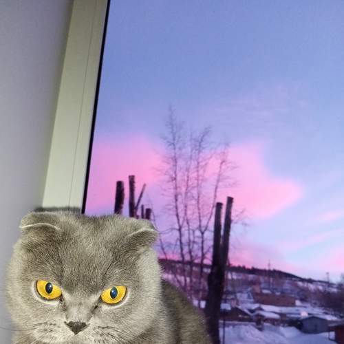 Photo #8714285