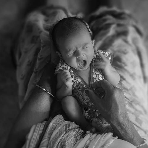 Photo #8714610