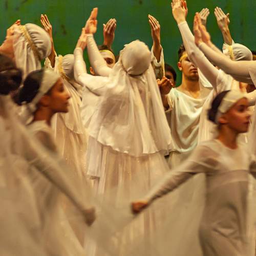 Photo #8714736