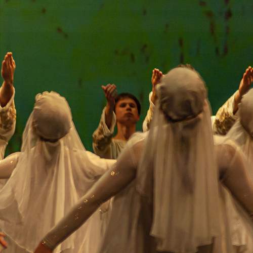 Photo #8714825