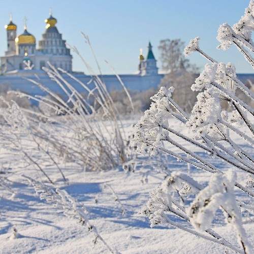 Photo #8715301