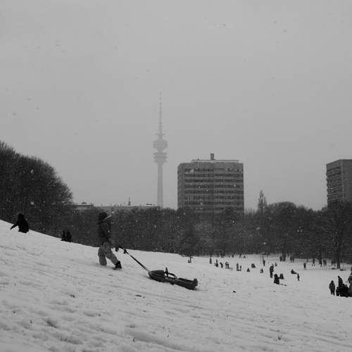 Photo #8715331