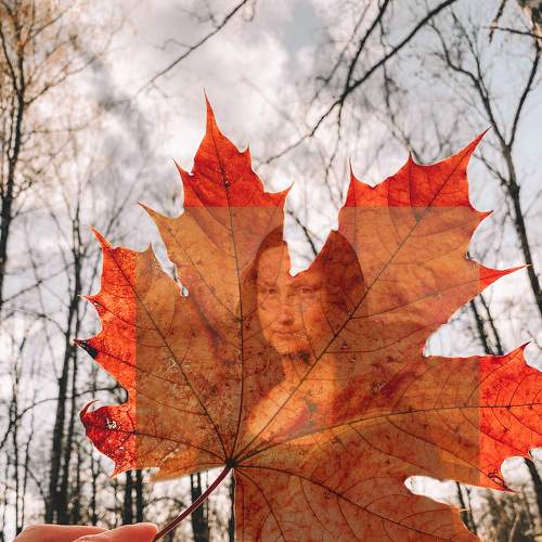 Autumn dream