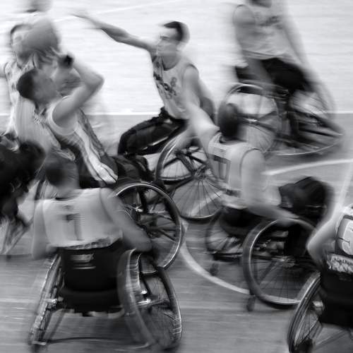 Фотография #8715372