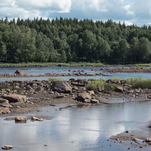 Photo #8715389
