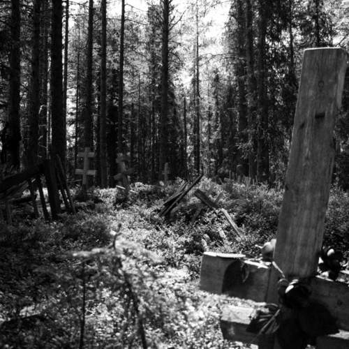 Photo #8715398
