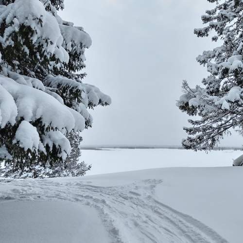 Photo #8715458