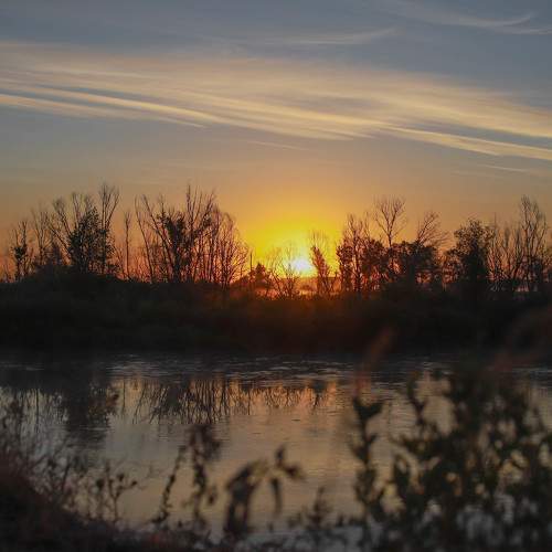 Photo #8715461