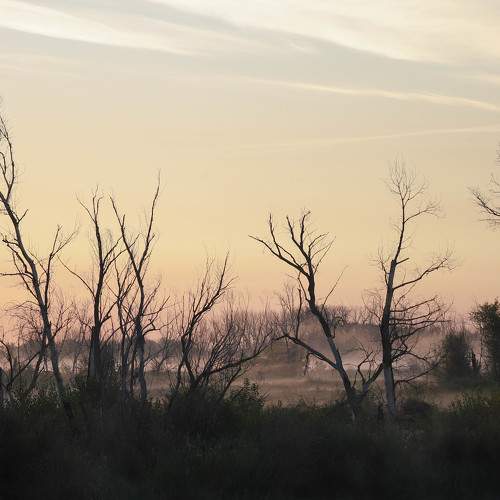 Photo #8715462