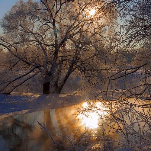 Photo #8715561