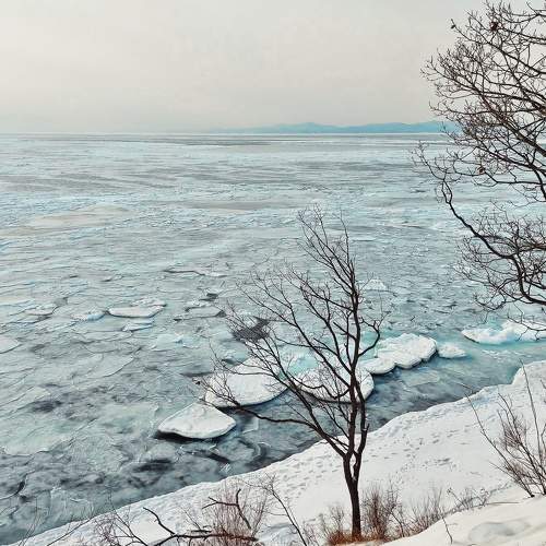 Photo #8715563