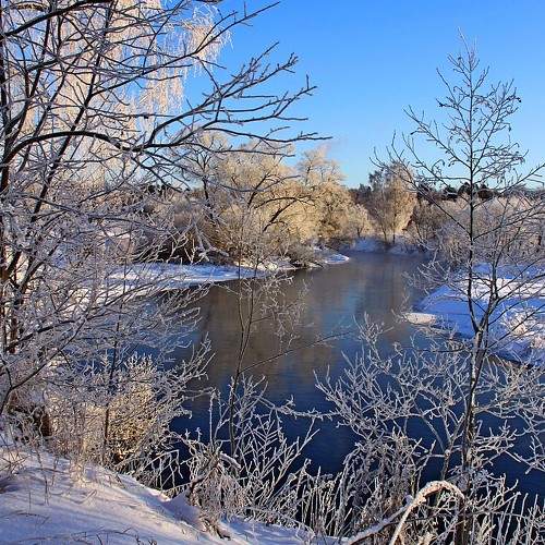Photo #8715569