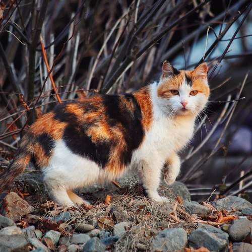 Photo #8715719