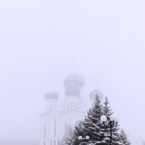 Photo #8715827