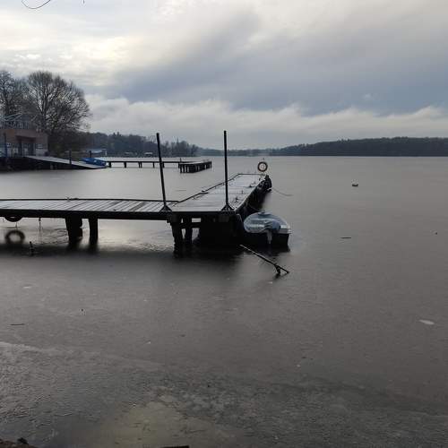 Photo #8715847