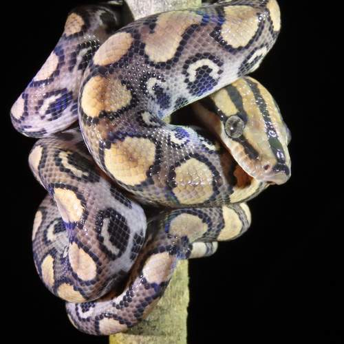 Photo #8716031