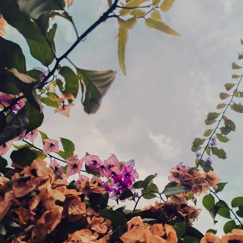 Photo #8716175