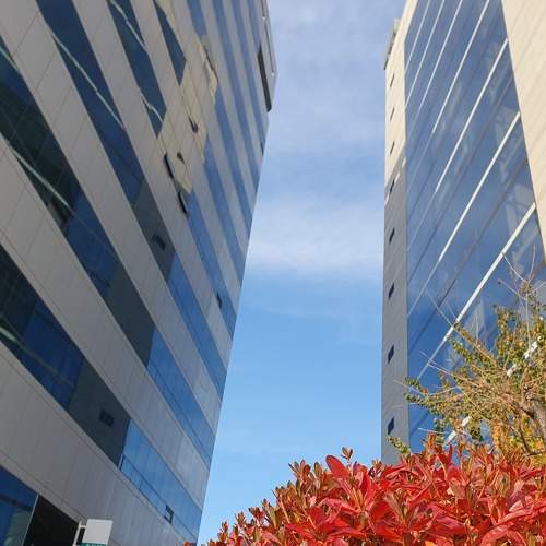 Photo #8716281