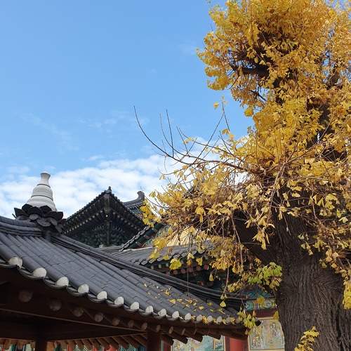 Photo #8716293