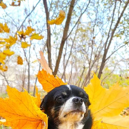 Photo #8716723