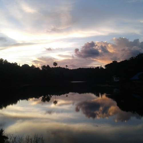Photo #8717037